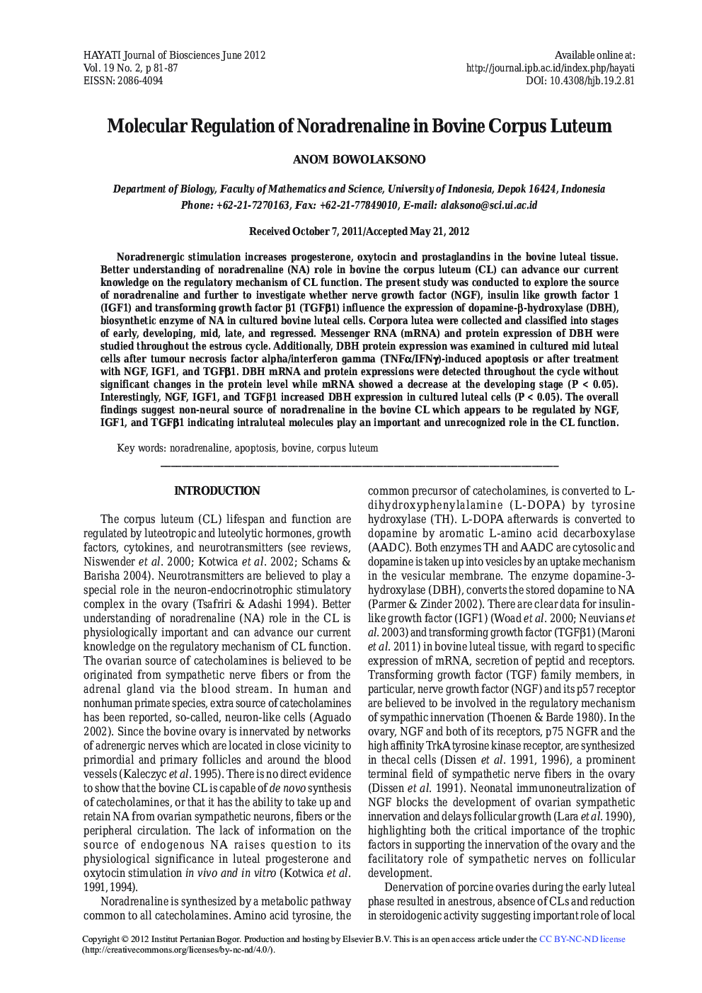 Molecular Regulation of Noradrenaline in Bovine Corpus Luteum