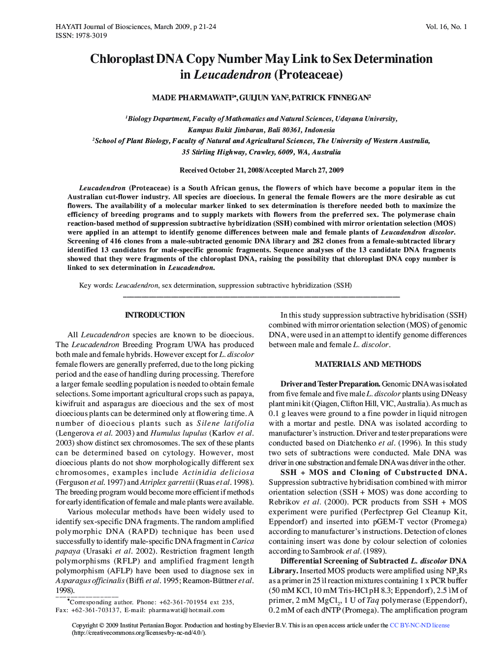 Chloroplast DNA Copy Number May Link to Sex Determination in Leucadendron (Proteaceae)