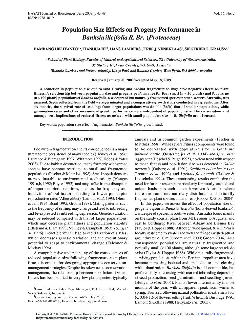 Population Size Effects on Progeny Performance in Banksia ilicifolia R. Br. (Proteaceae)