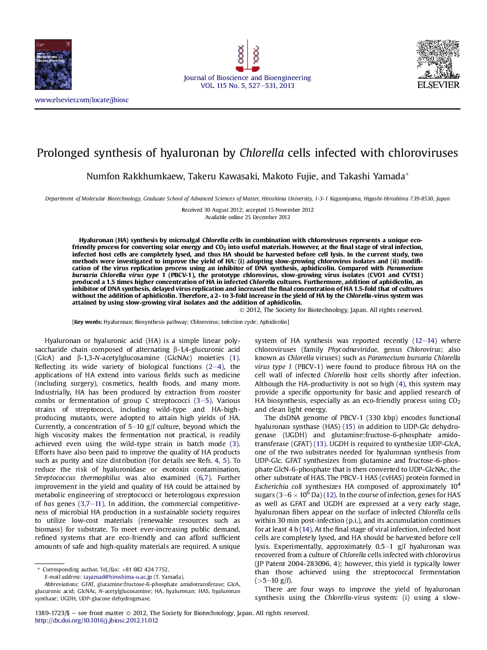 Prolonged synthesis of hyaluronan by Chlorella cells infected with chloroviruses