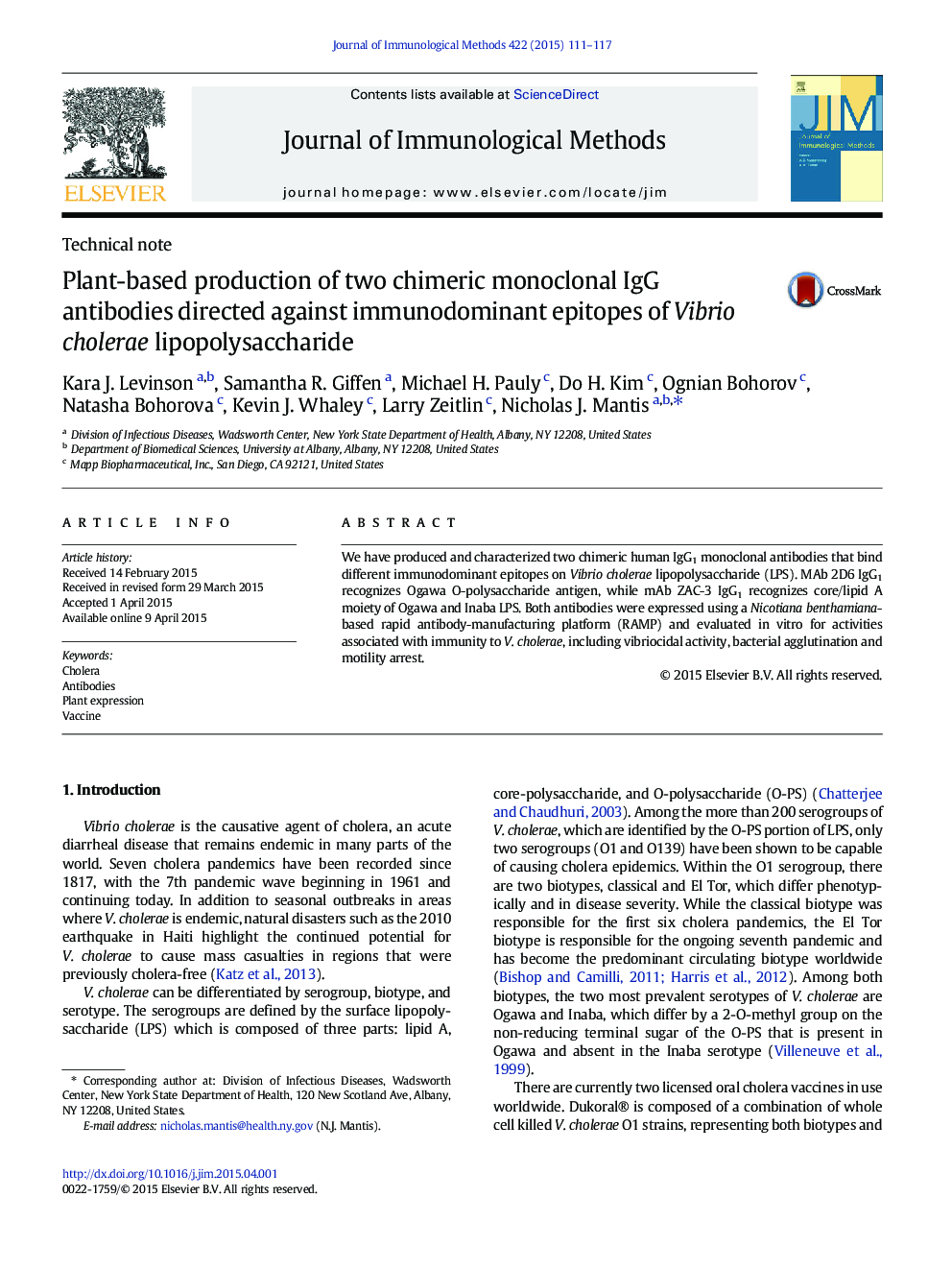 Plant-based production of two chimeric monoclonal IgG antibodies directed against immunodominant epitopes of Vibrio cholerae lipopolysaccharide