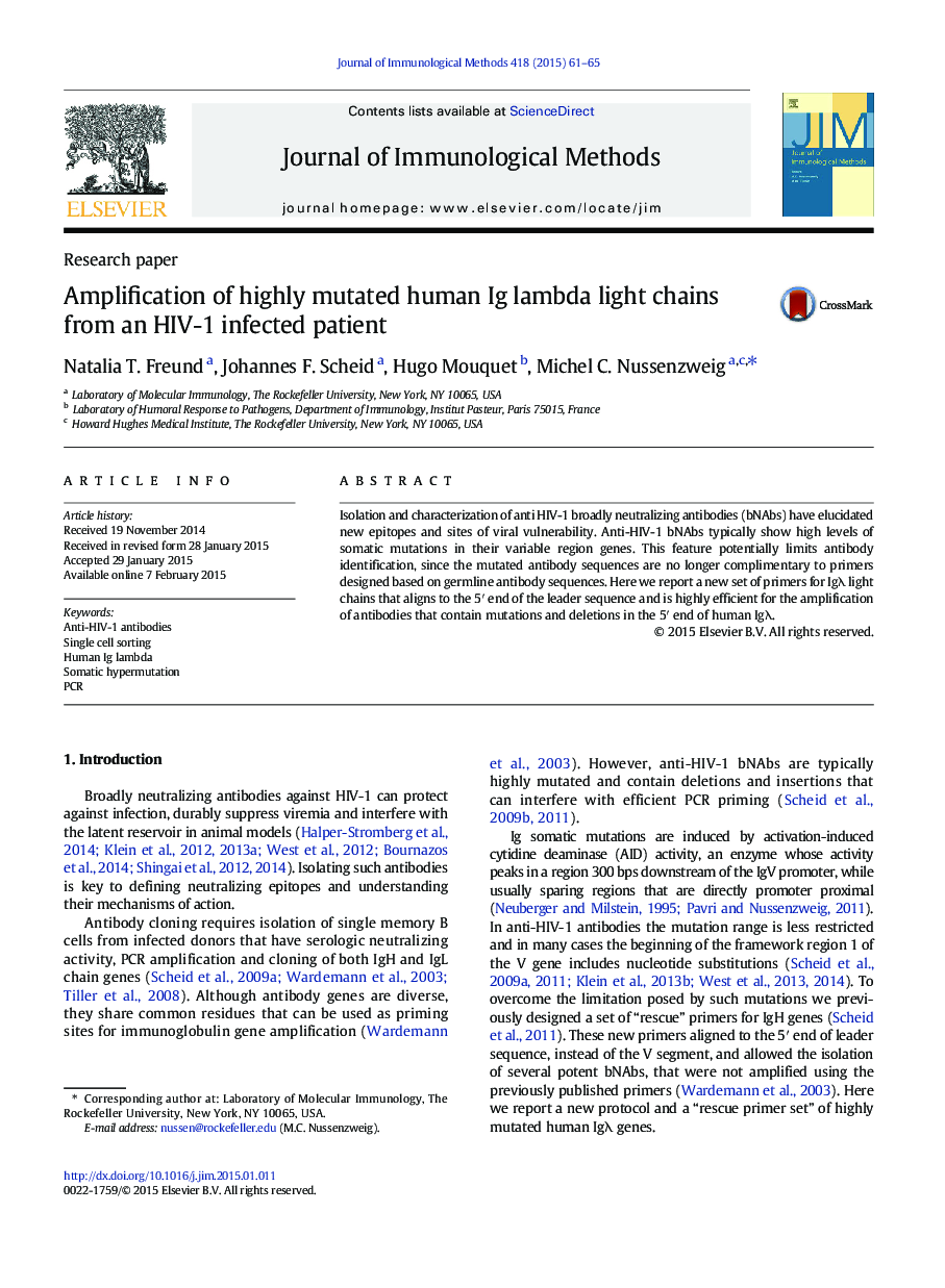 Amplification of highly mutated human Ig lambda light chains from an HIV-1 infected patient