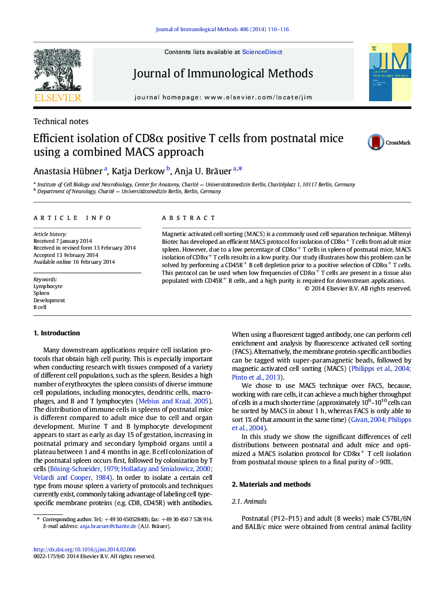 Efficient isolation of CD8α positive T cells from postnatal mice using a combined MACS approach