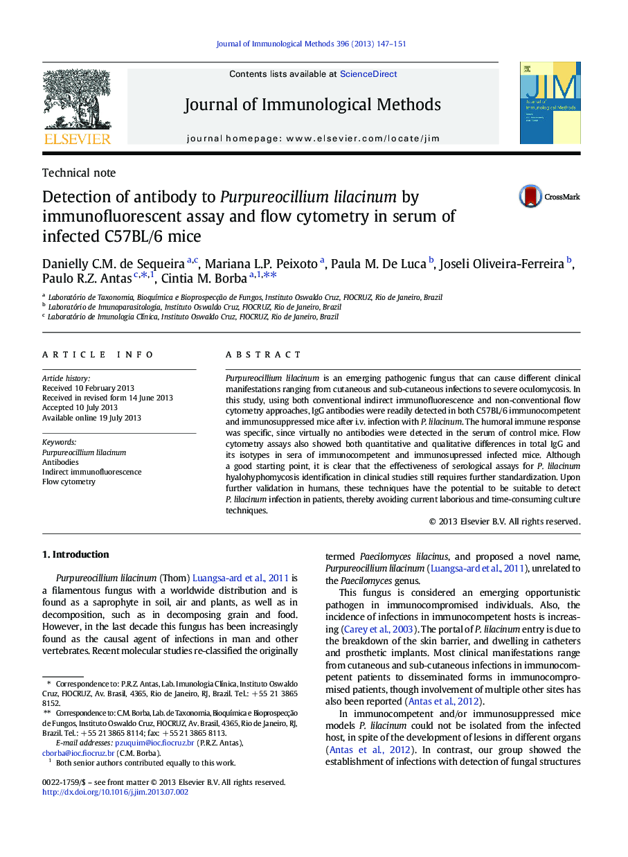 Detection of antibody to Purpureocillium lilacinum by immunofluorescent assay and flow cytometry in serum of infected C57BL/6 mice