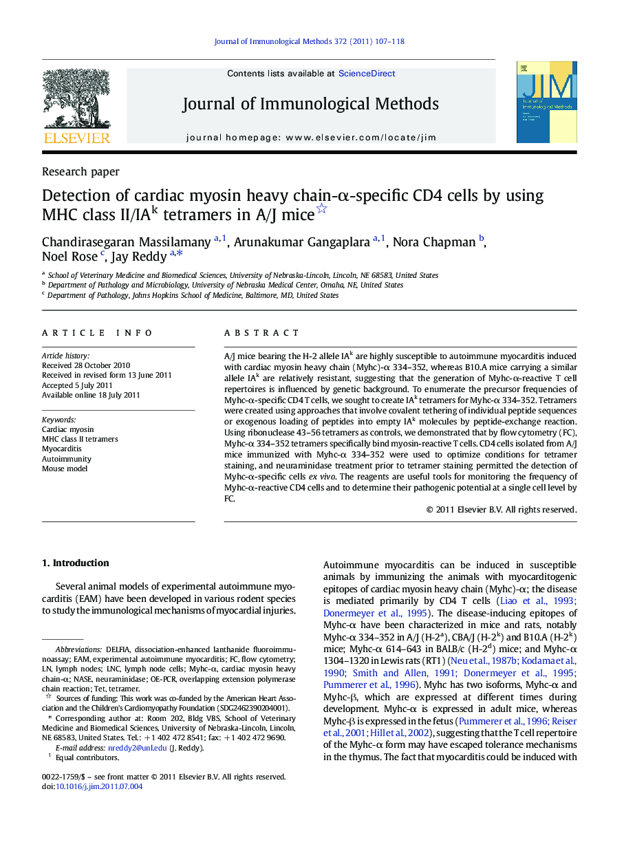 Detection of cardiac myosin heavy chain-α-specific CD4 cells by using MHC class II/IAk tetramers in A/J mice 