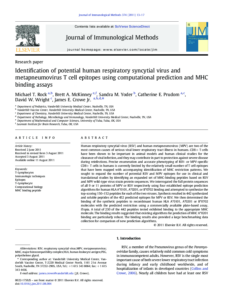 Identification of potential human respiratory syncytial virus and metapneumovirus T cell epitopes using computational prediction and MHC binding assays