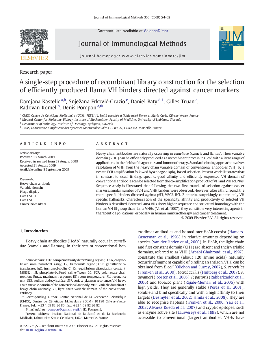 A single-step procedure of recombinant library construction for the selection of efficiently produced llama VH binders directed against cancer markers