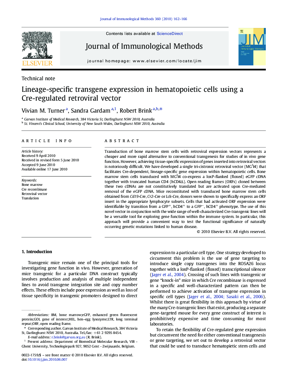 Lineage-specific transgene expression in hematopoietic cells using a Cre-regulated retroviral vector