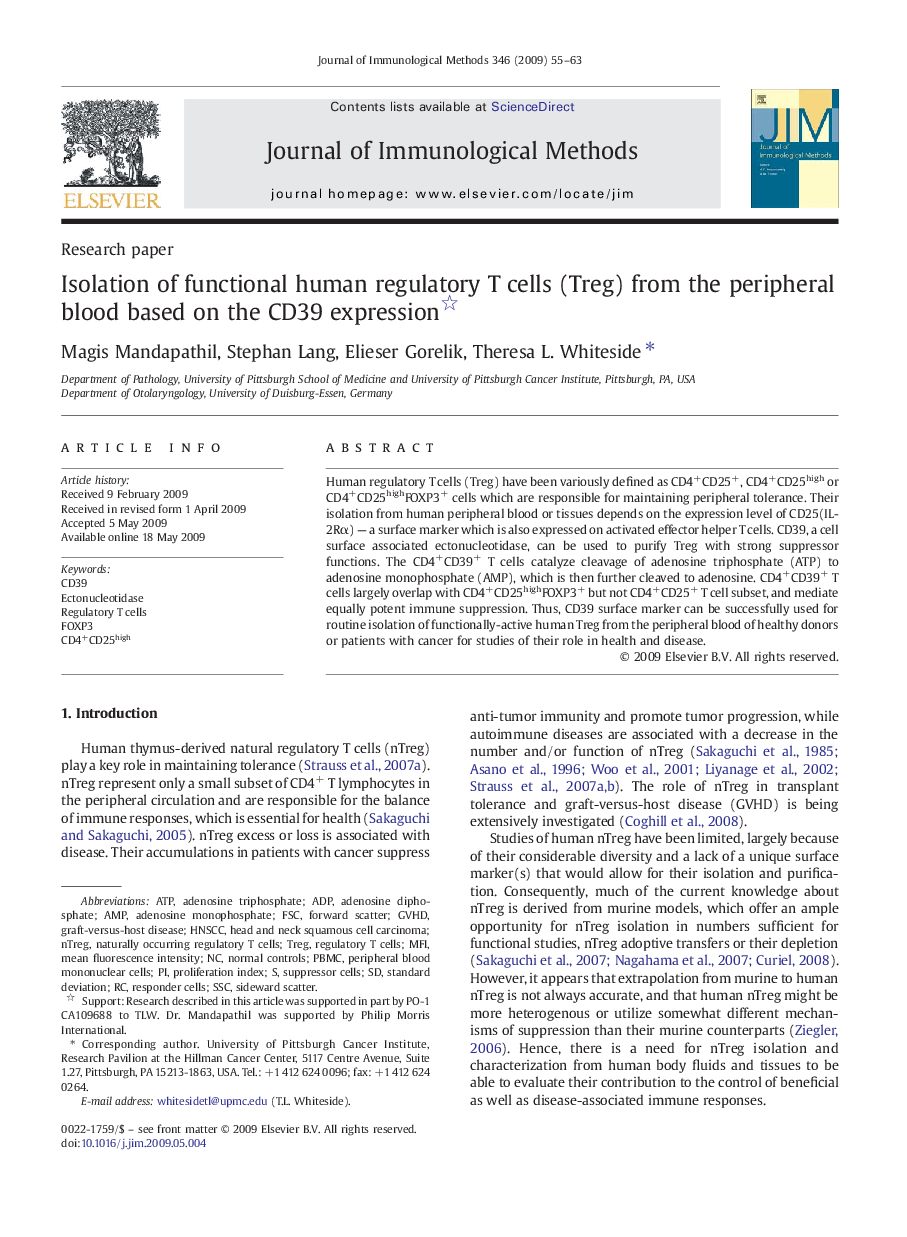 Isolation of functional human regulatory T cells (Treg) from the peripheral blood based on the CD39 expression 