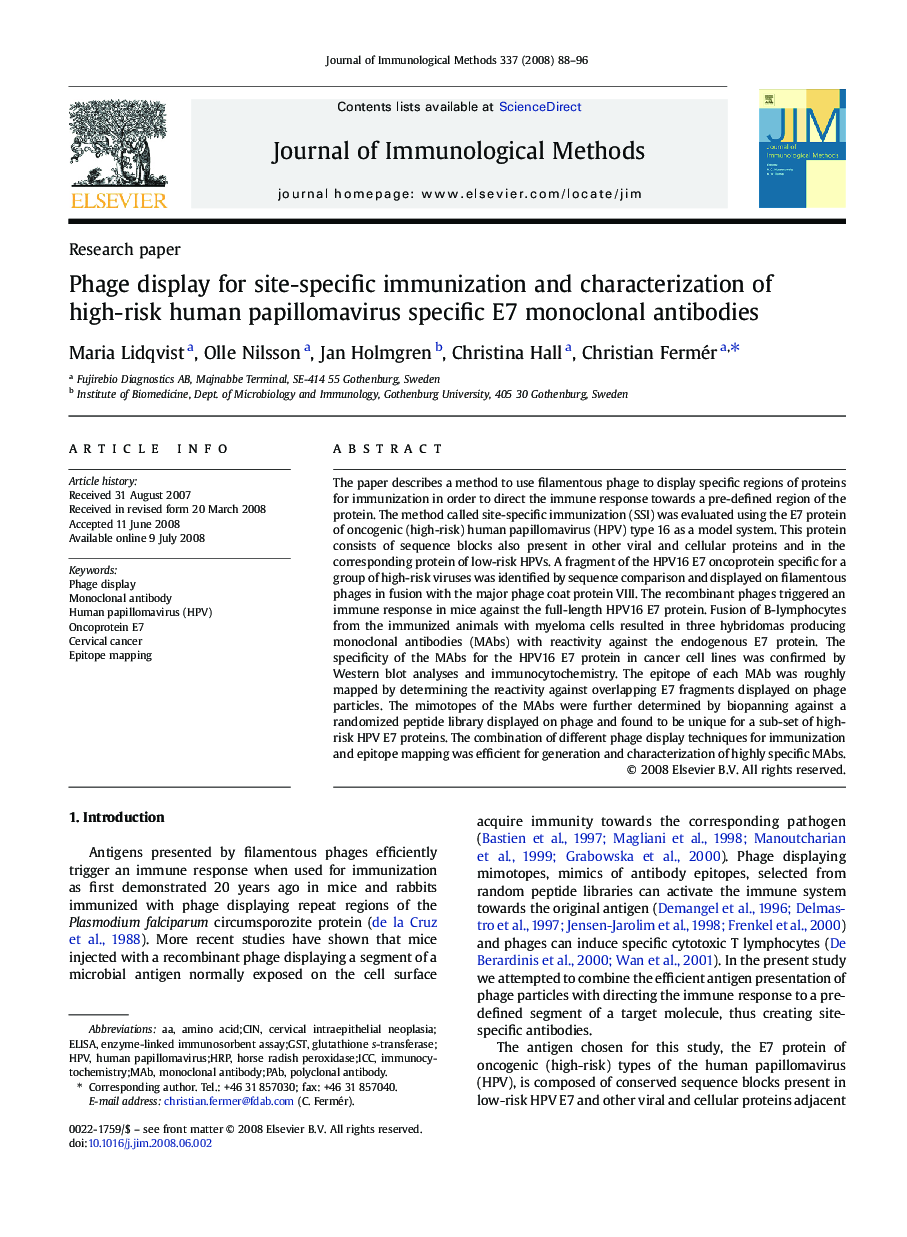 Phage display for site-specific immunization and characterization of high-risk human papillomavirus specific E7 monoclonal antibodies