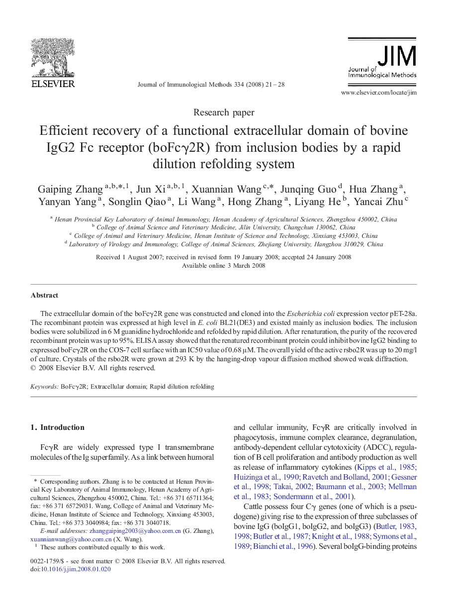 Efficient recovery of a functional extracellular domain of bovine IgG2 Fc receptor (boFcγ2R) from inclusion bodies by a rapid dilution refolding system