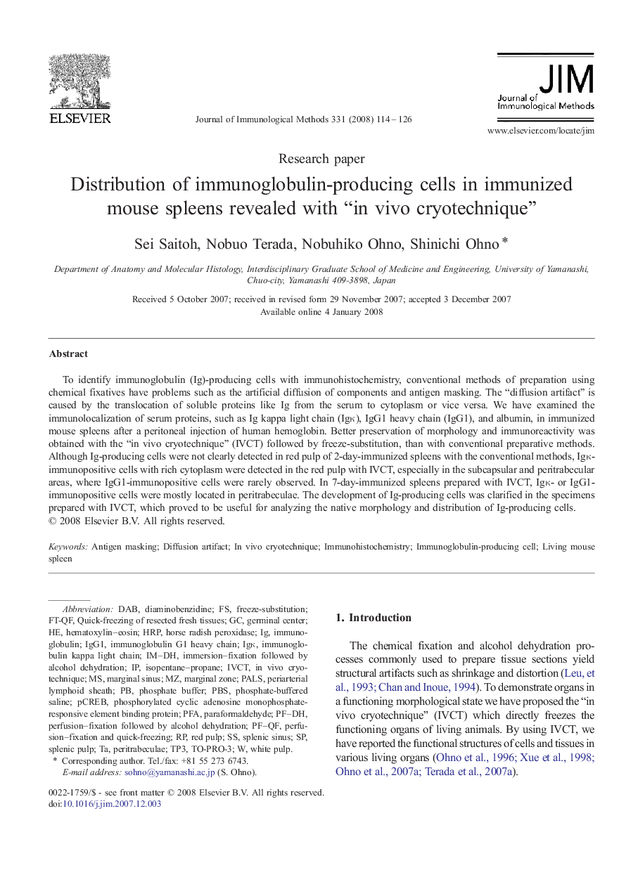 Distribution of immunoglobulin-producing cells in immunized mouse spleens revealed with “in vivo cryotechnique”