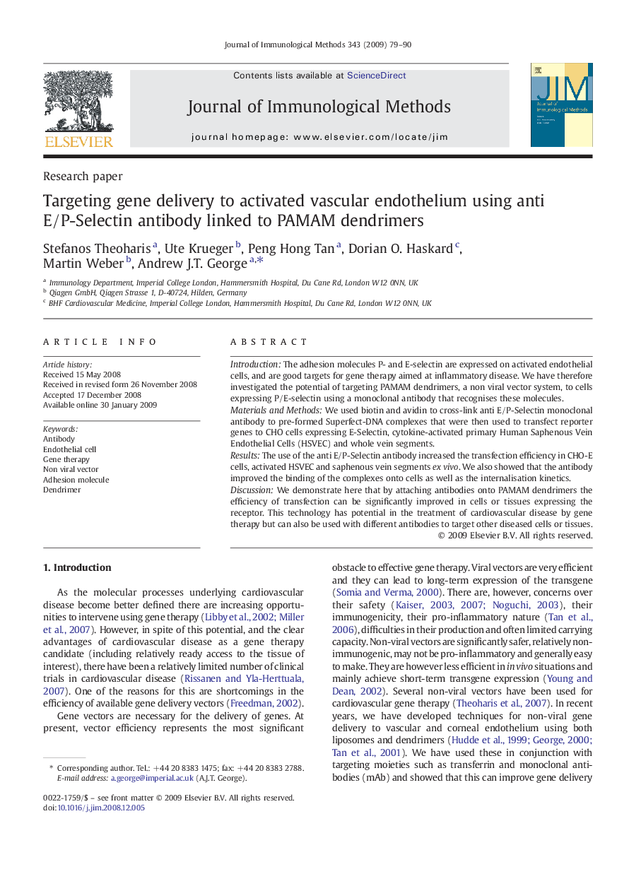 Targeting gene delivery to activated vascular endothelium using anti E/P-Selectin antibody linked to PAMAM dendrimers