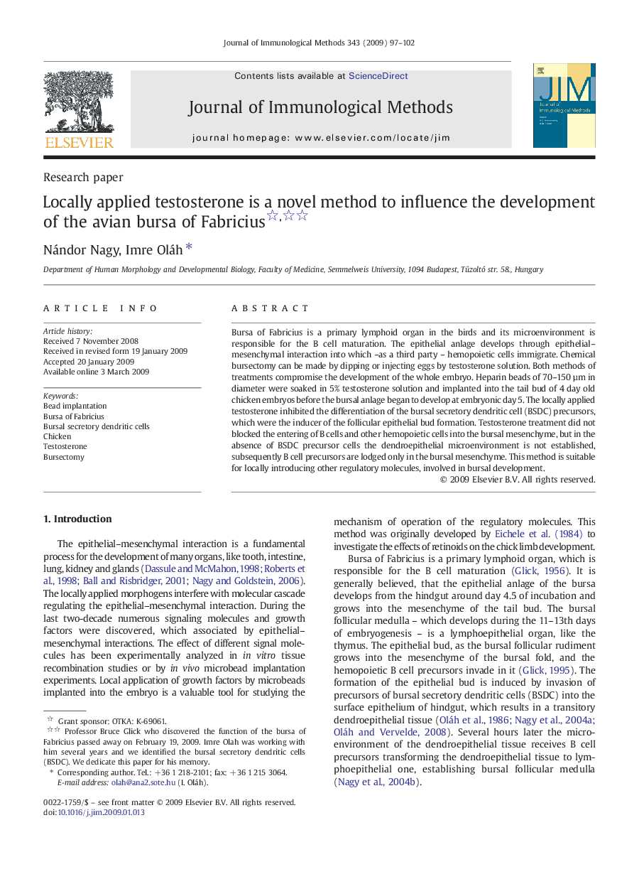 Locally applied testosterone is a novel method to influence the development of the avian bursa of Fabricius 