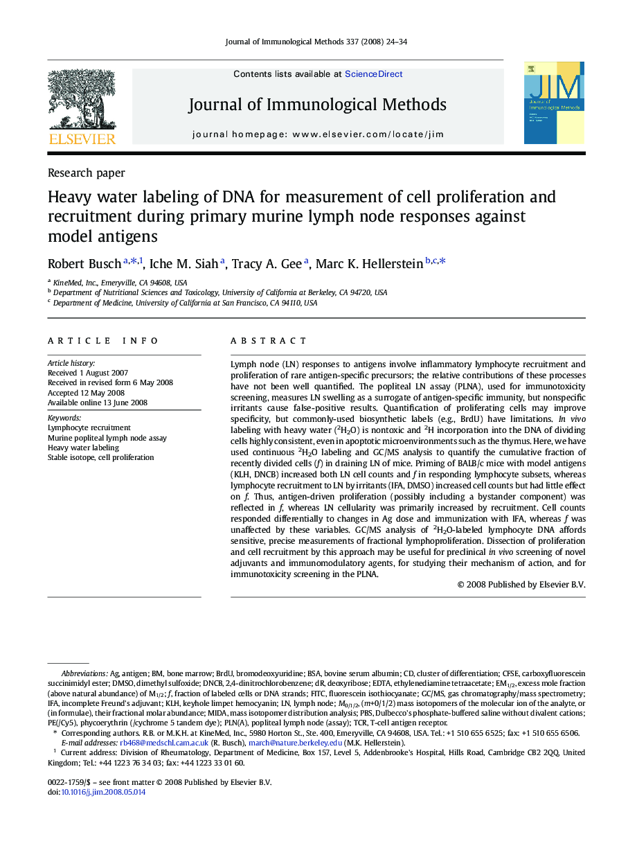 Heavy water labeling of DNA for measurement of cell proliferation and recruitment during primary murine lymph node responses against model antigens