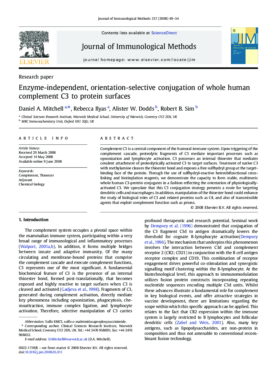 Enzyme-independent, orientation-selective conjugation of whole human complement C3 to protein surfaces