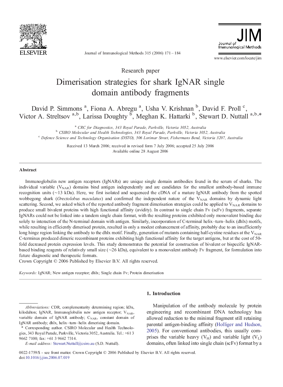 Dimerisation strategies for shark IgNAR single domain antibody fragments