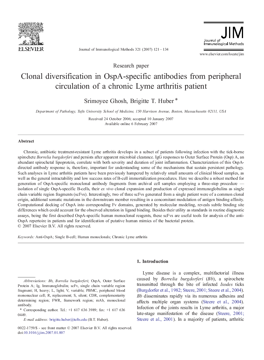 Clonal diversification in OspA-specific antibodies from peripheral circulation of a chronic Lyme arthritis patient