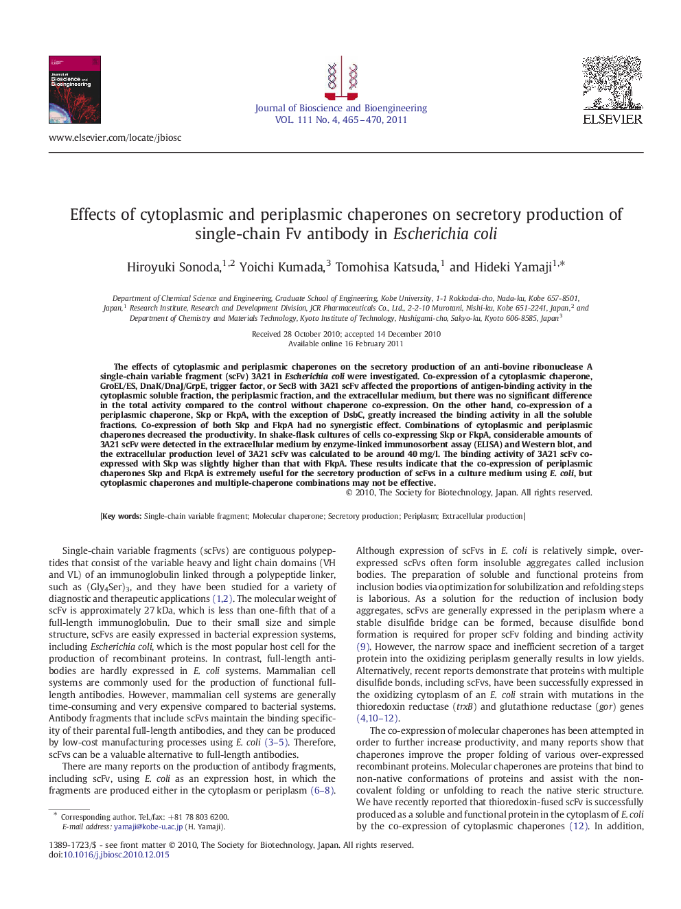 Effects of cytoplasmic and periplasmic chaperones on secretory production of single-chain Fv antibody in Escherichia coli