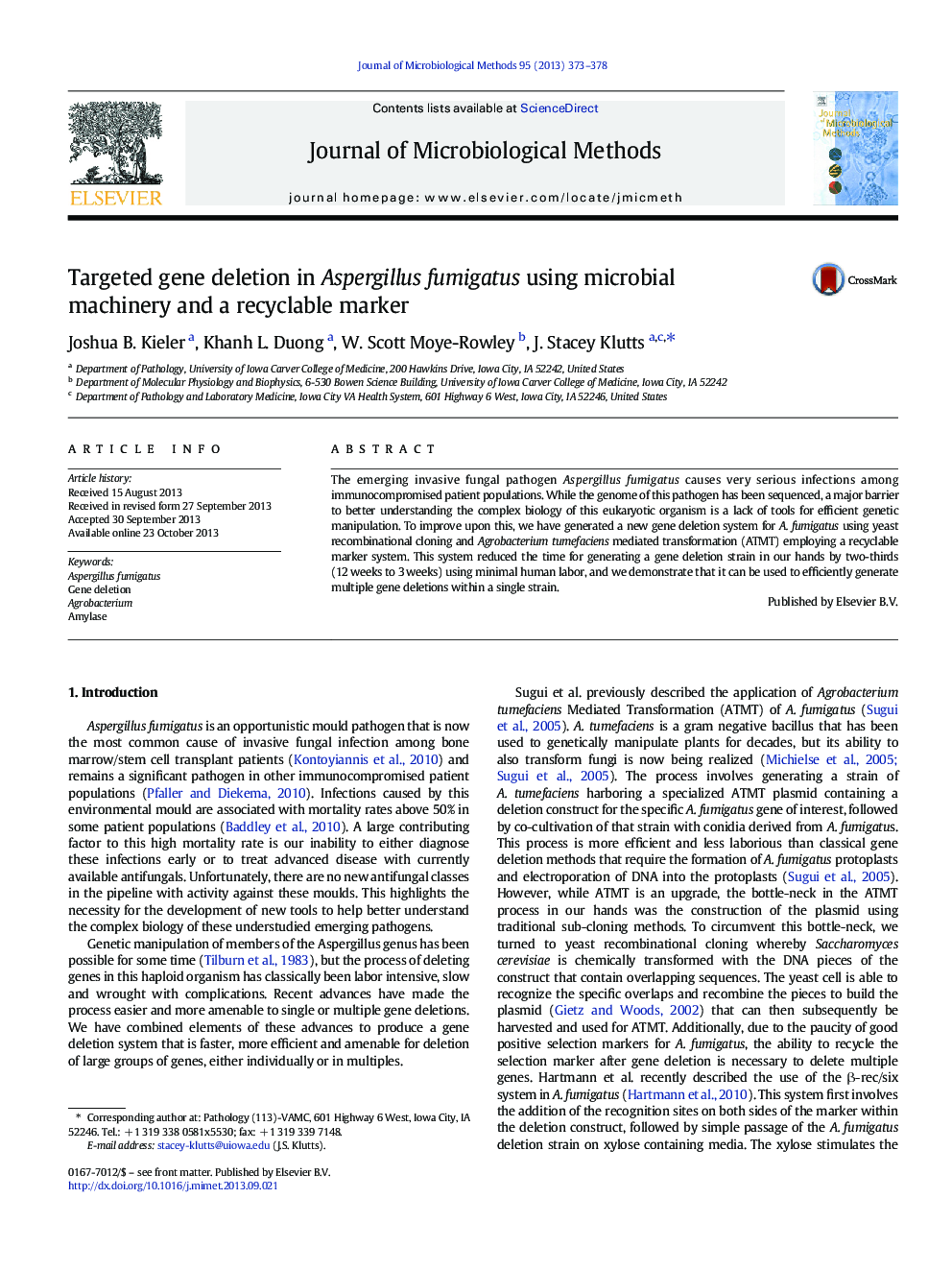 Targeted gene deletion in Aspergillus fumigatus using microbial machinery and a recyclable marker