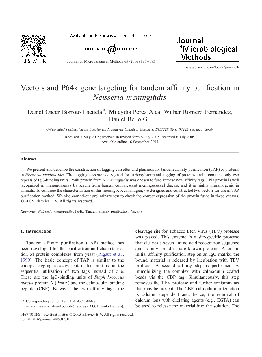 Vectors and P64k gene targeting for tandem affinity purification in Neisseria meningitidis