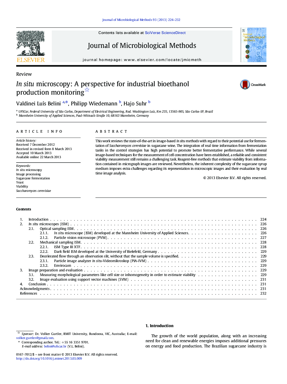 In situ microscopy: A perspective for industrial bioethanol production monitoring 