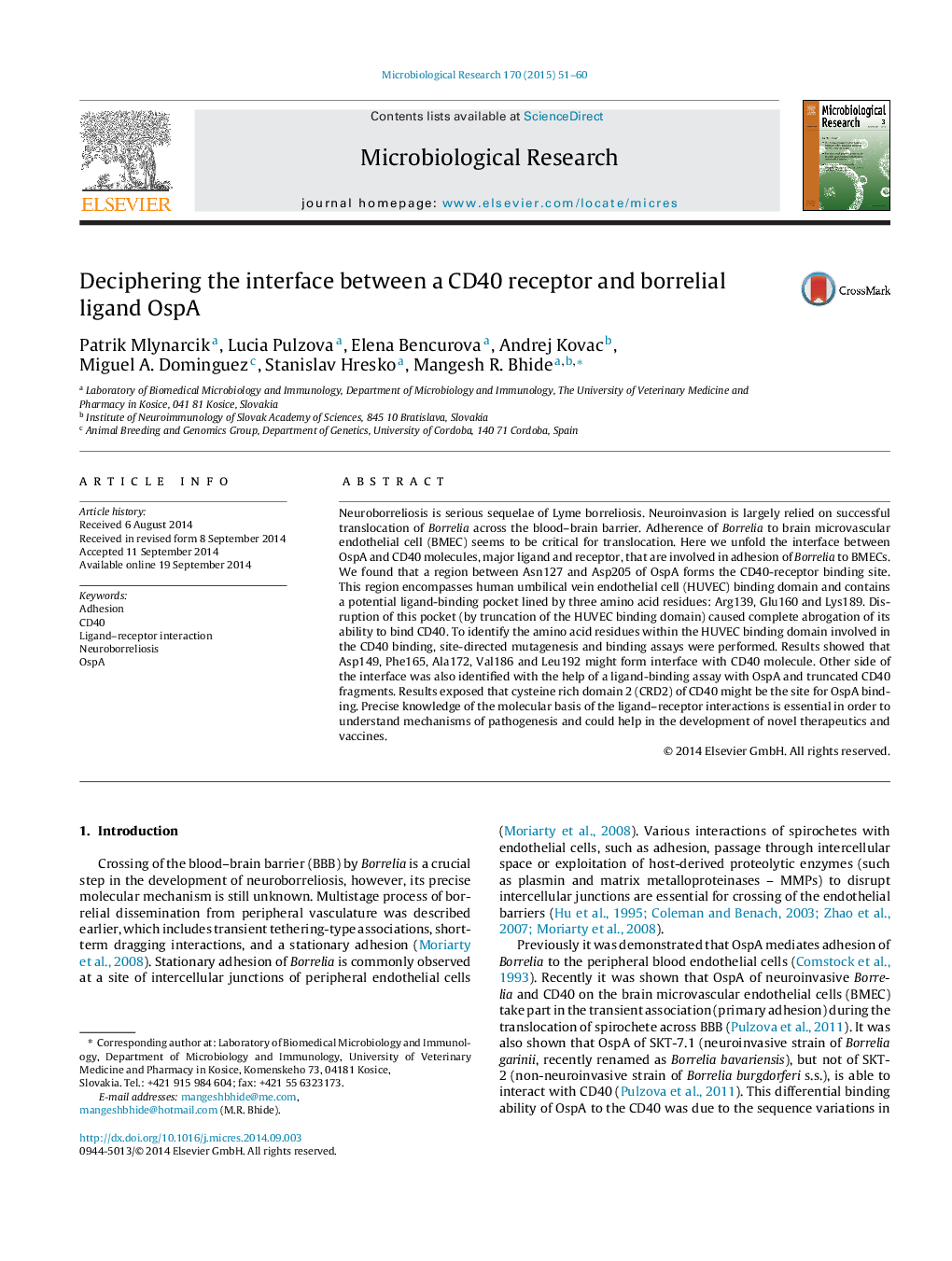 Deciphering the interface between a CD40 receptor and borrelial ligand OspA