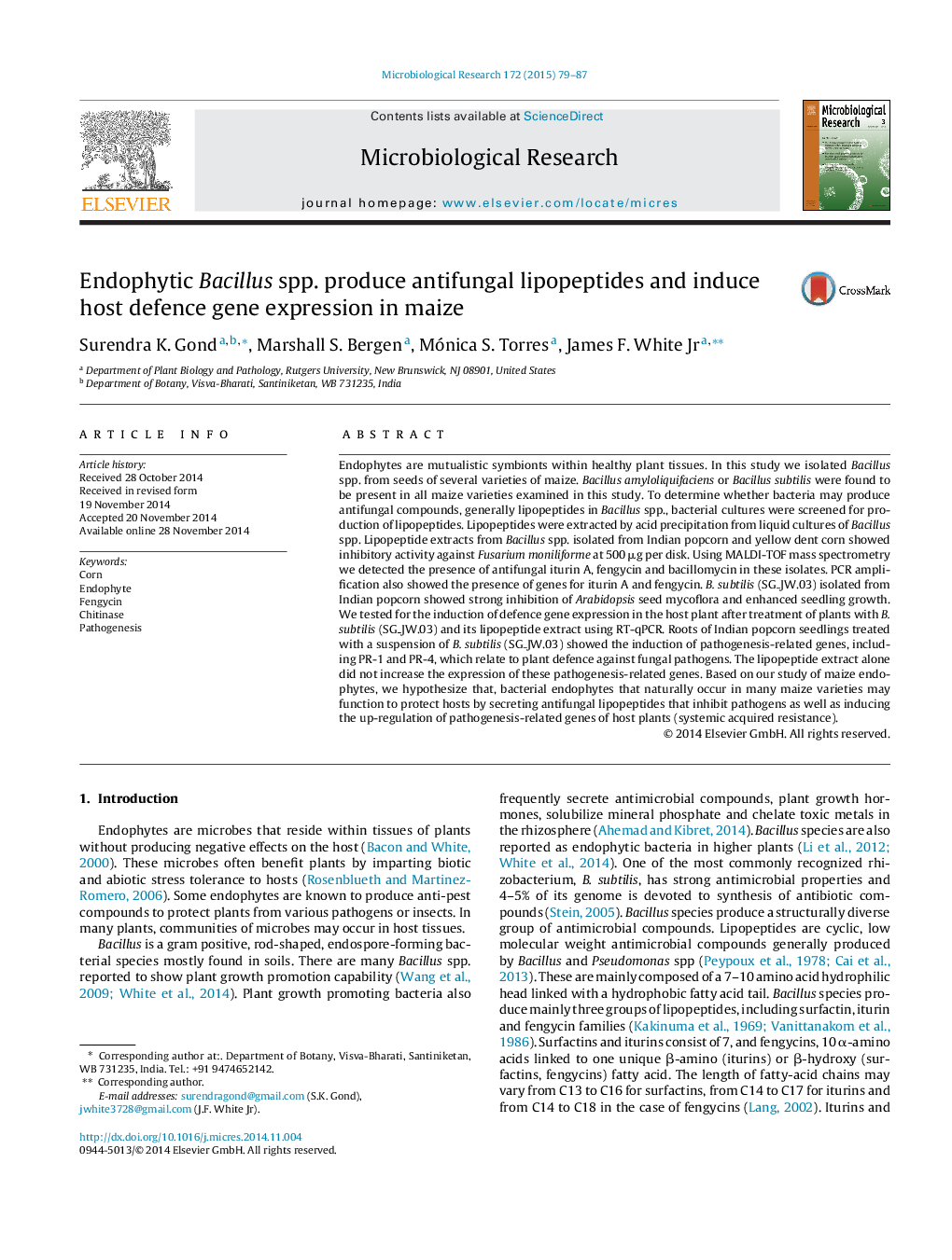 Endophytic Bacillus spp. produce antifungal lipopeptides and induce host defence gene expression in maize