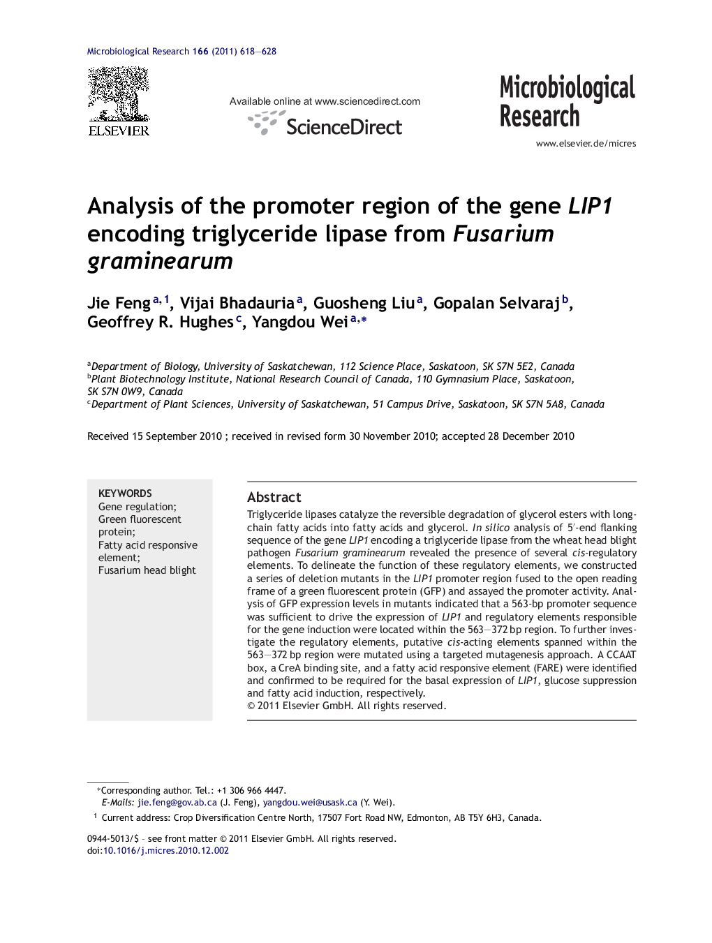 Analysis of the promoter region of the gene LIP1 encoding triglyceride lipase from Fusarium graminearum