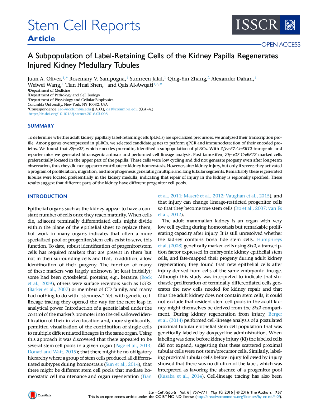 A Subpopulation of Label-Retaining Cells of the Kidney Papilla Regenerates Injured Kidney Medullary Tubules