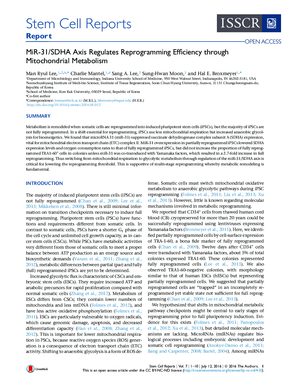 MiR-31/SDHA Axis Regulates Reprogramming Efficiency through Mitochondrial Metabolism