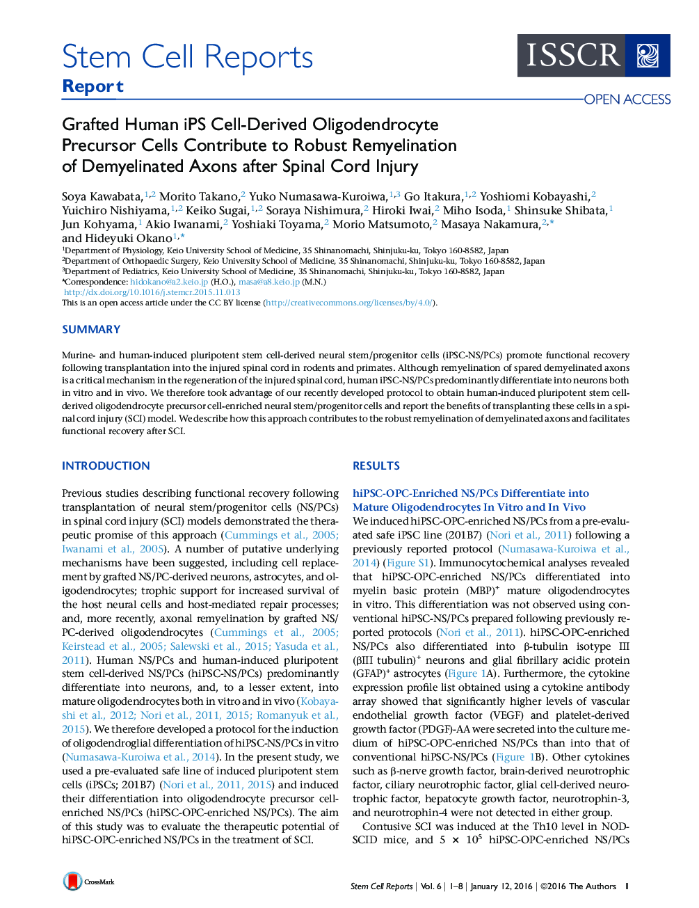 Grafted Human iPS Cell-Derived Oligodendrocyte Precursor Cells Contribute to Robust Remyelination of Demyelinated Axons after Spinal Cord Injury 