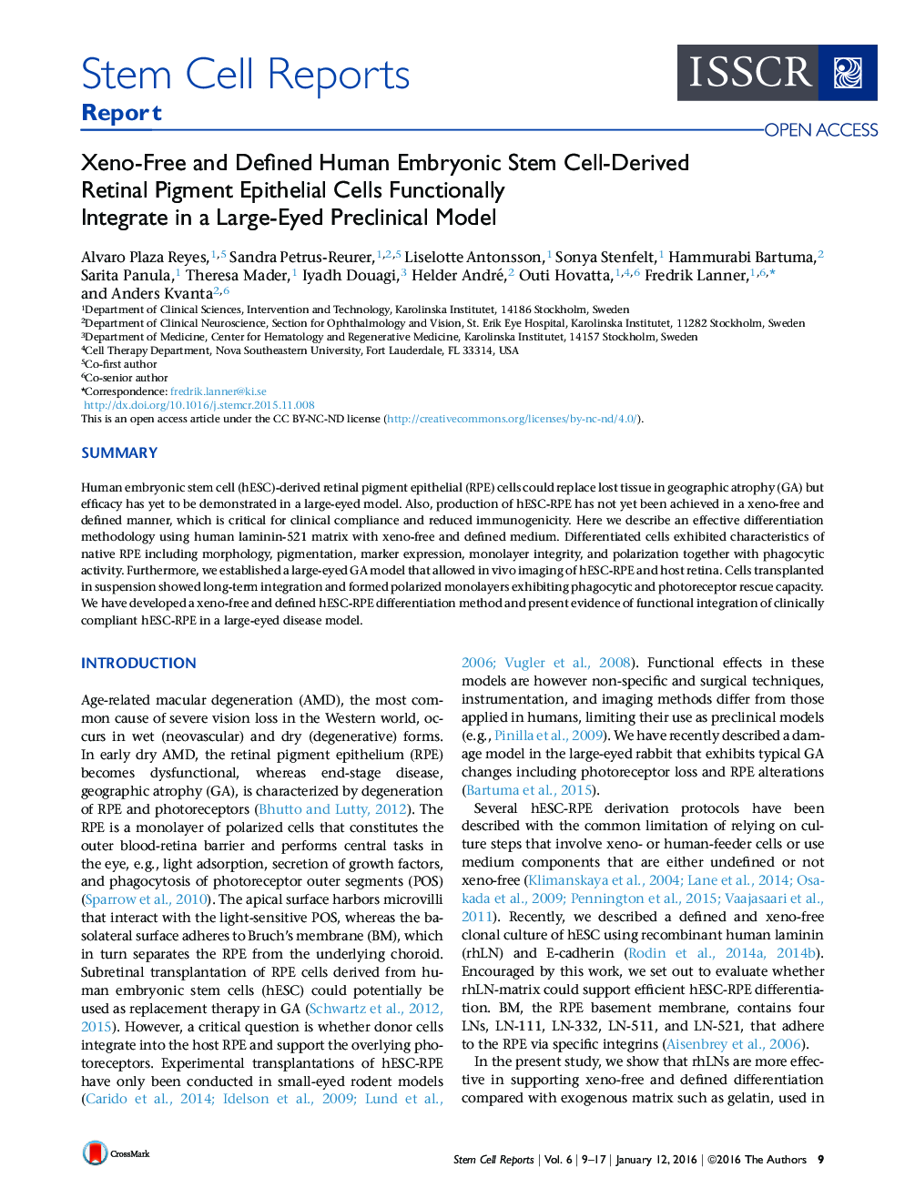 Xeno-Free and Defined Human Embryonic Stem Cell-Derived Retinal Pigment Epithelial Cells Functionally Integrate in a Large-Eyed Preclinical Model 