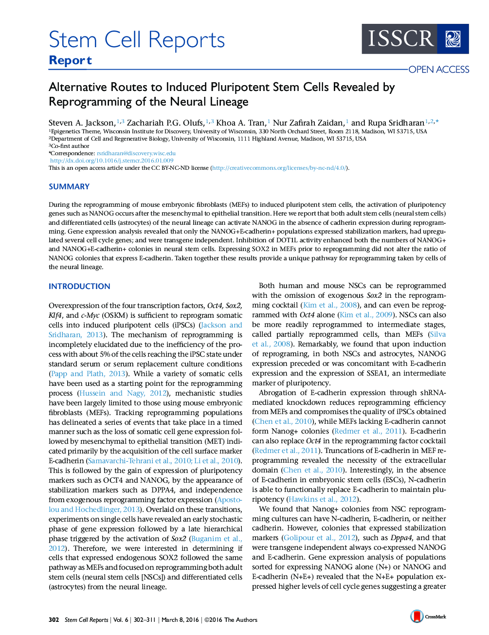 مسیرهای جایگزین برای سلول های بنیادی پلوروپتونی که توسط برنامه ریزی خطی عصبی مشخص شده اند 