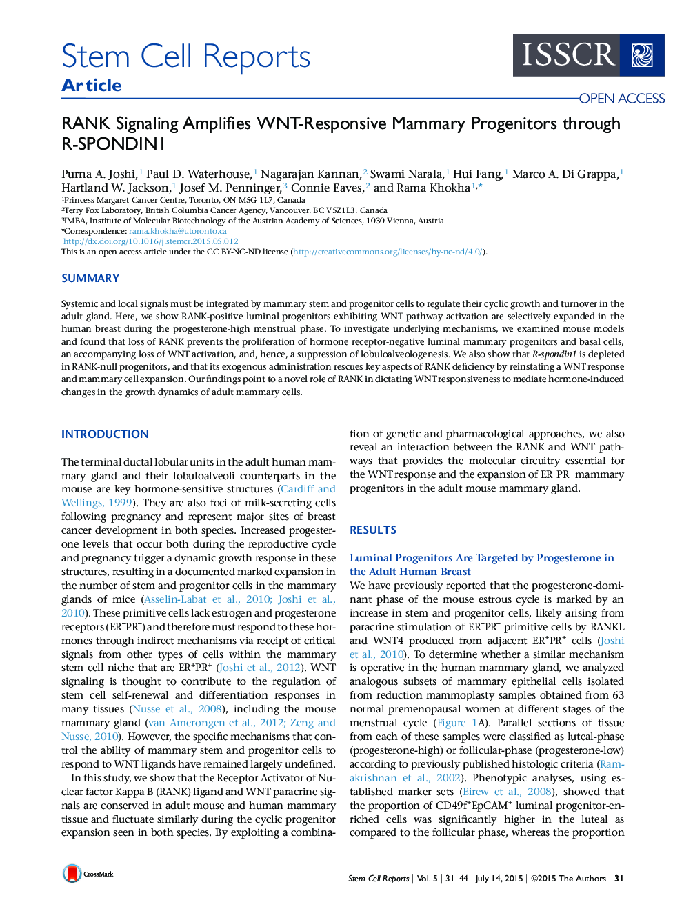 RANK Signaling Amplifies WNT-Responsive Mammary Progenitors through R-SPONDIN1 