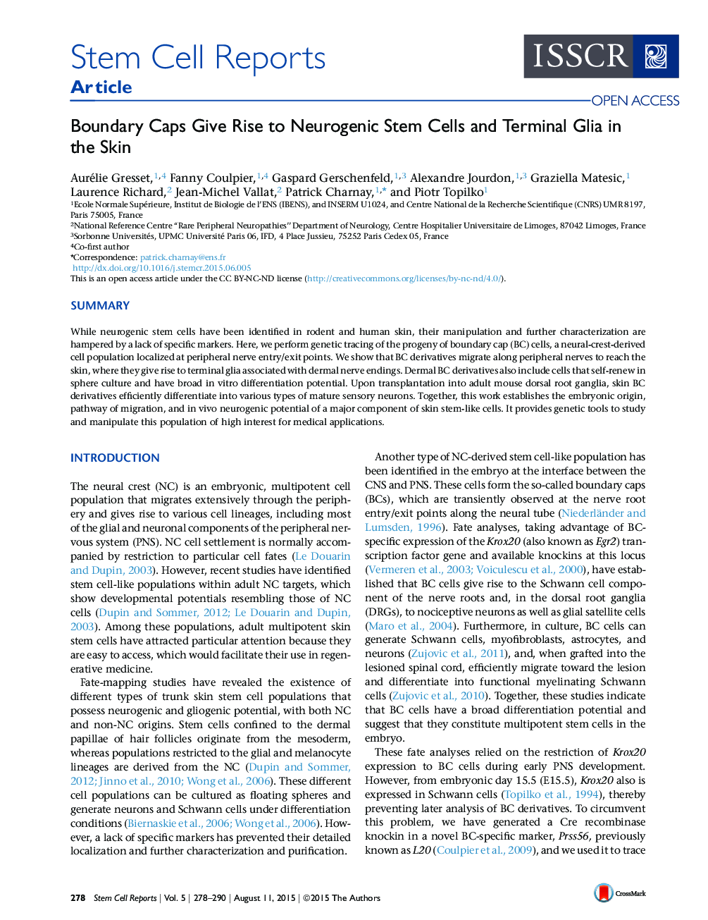 Boundary Caps Give Rise to Neurogenic Stem Cells and Terminal Glia in the Skin 