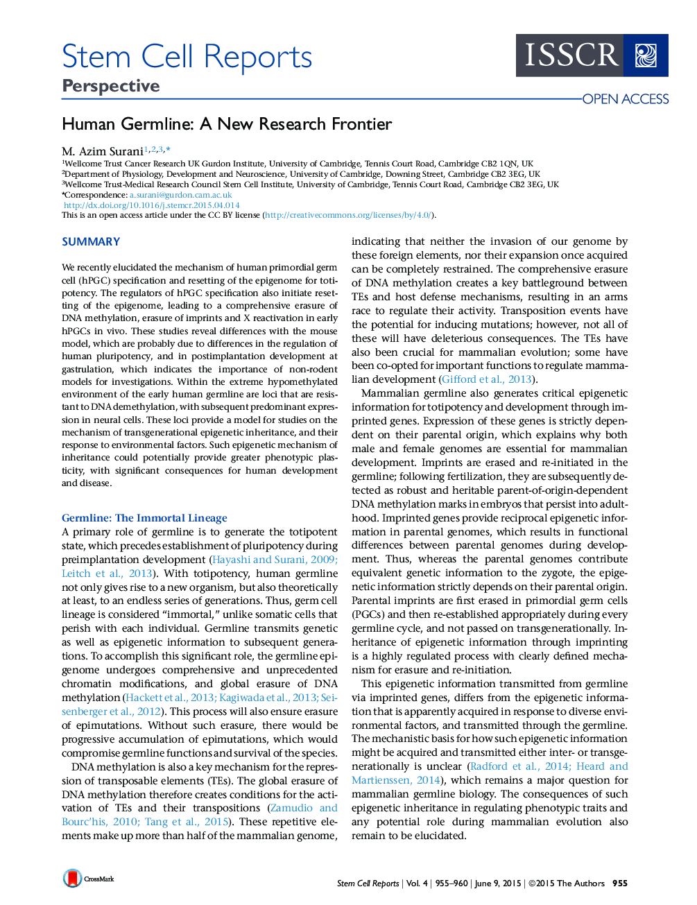 Human Germline: A New Research Frontier 