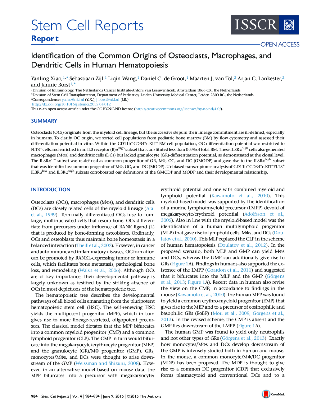 Identification of the Common Origins of Osteoclasts, Macrophages, and Dendritic Cells in Human Hematopoiesis 