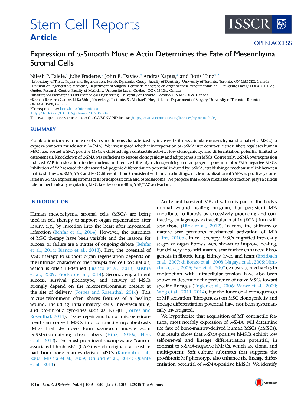 Expression of α-Smooth Muscle Actin Determines the Fate of Mesenchymal Stromal Cells 