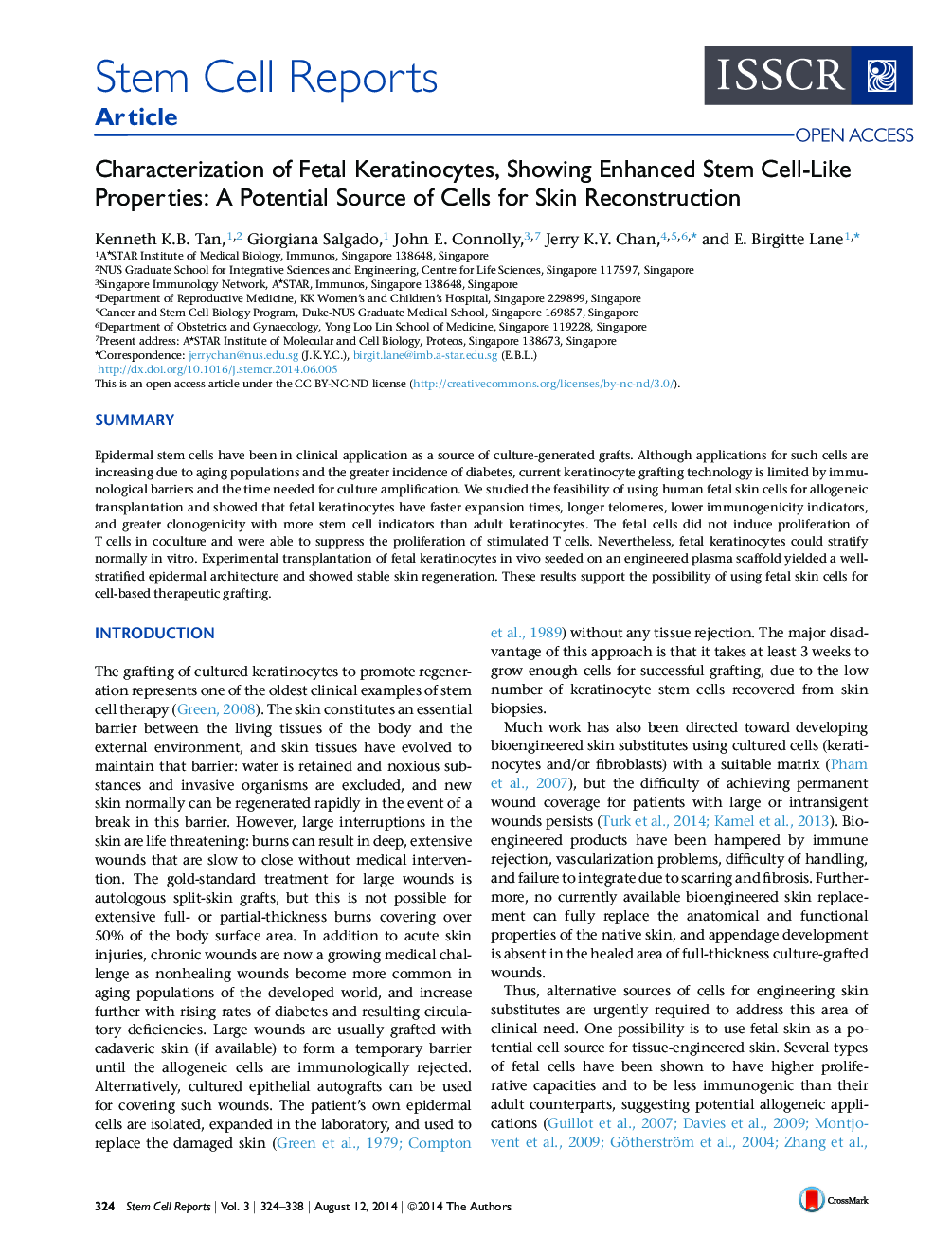 Characterization of Fetal Keratinocytes, Showing Enhanced Stem Cell-Like Properties: A Potential Source of Cells for Skin Reconstruction 