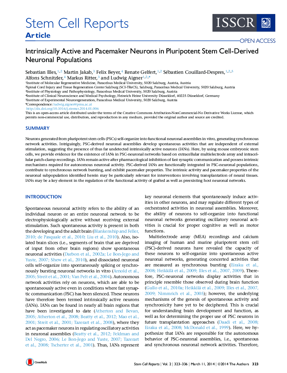 Intrinsically Active and Pacemaker Neurons in Pluripotent Stem Cell-Derived Neuronal Populations 