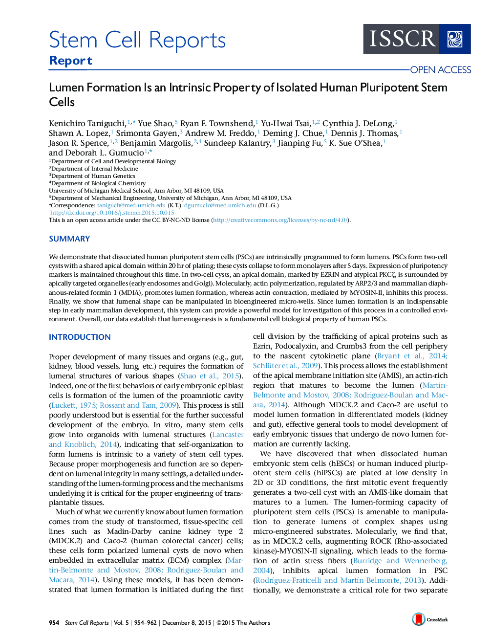 Lumen Formation Is an Intrinsic Property of Isolated Human Pluripotent Stem Cells 