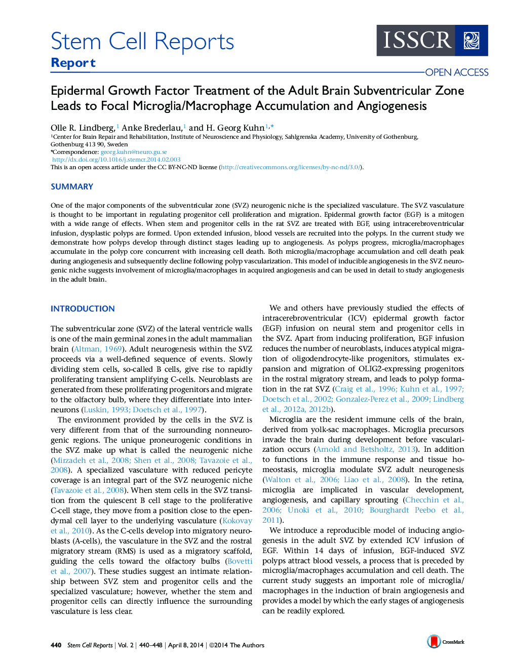 Epidermal Growth Factor Treatment of the Adult Brain Subventricular Zone Leads to Focal Microglia/Macrophage Accumulation and Angiogenesis 