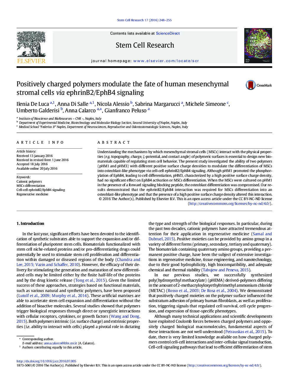 Positively charged polymers modulate the fate of human mesenchymal stromal cells via ephrinB2/EphB4 signaling