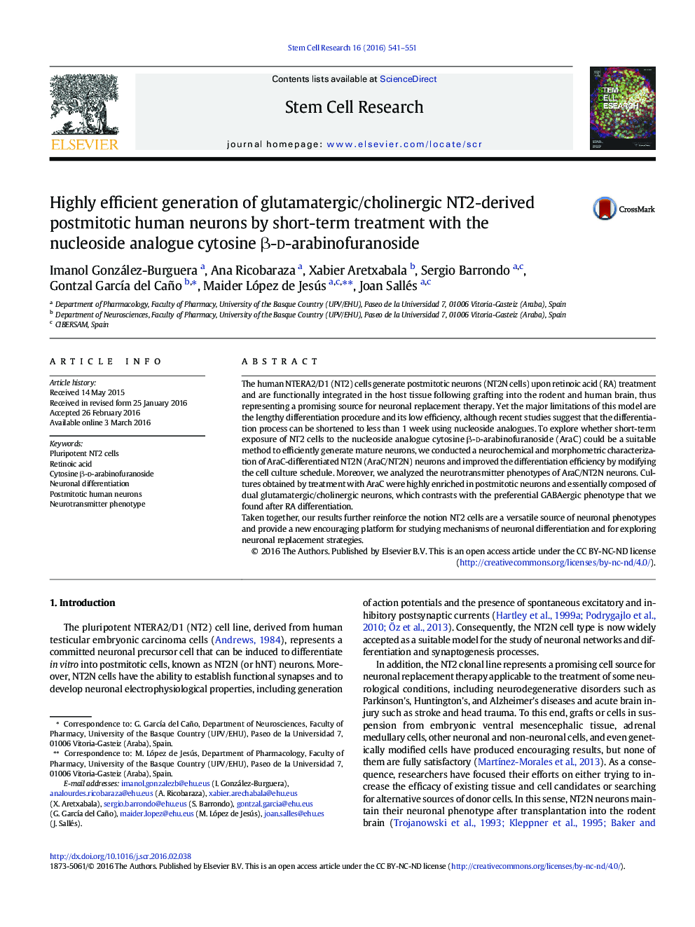 Highly efficient generation of glutamatergic/cholinergic NT2-derived postmitotic human neurons by short-term treatment with the nucleoside analogue cytosine β-d-arabinofuranoside