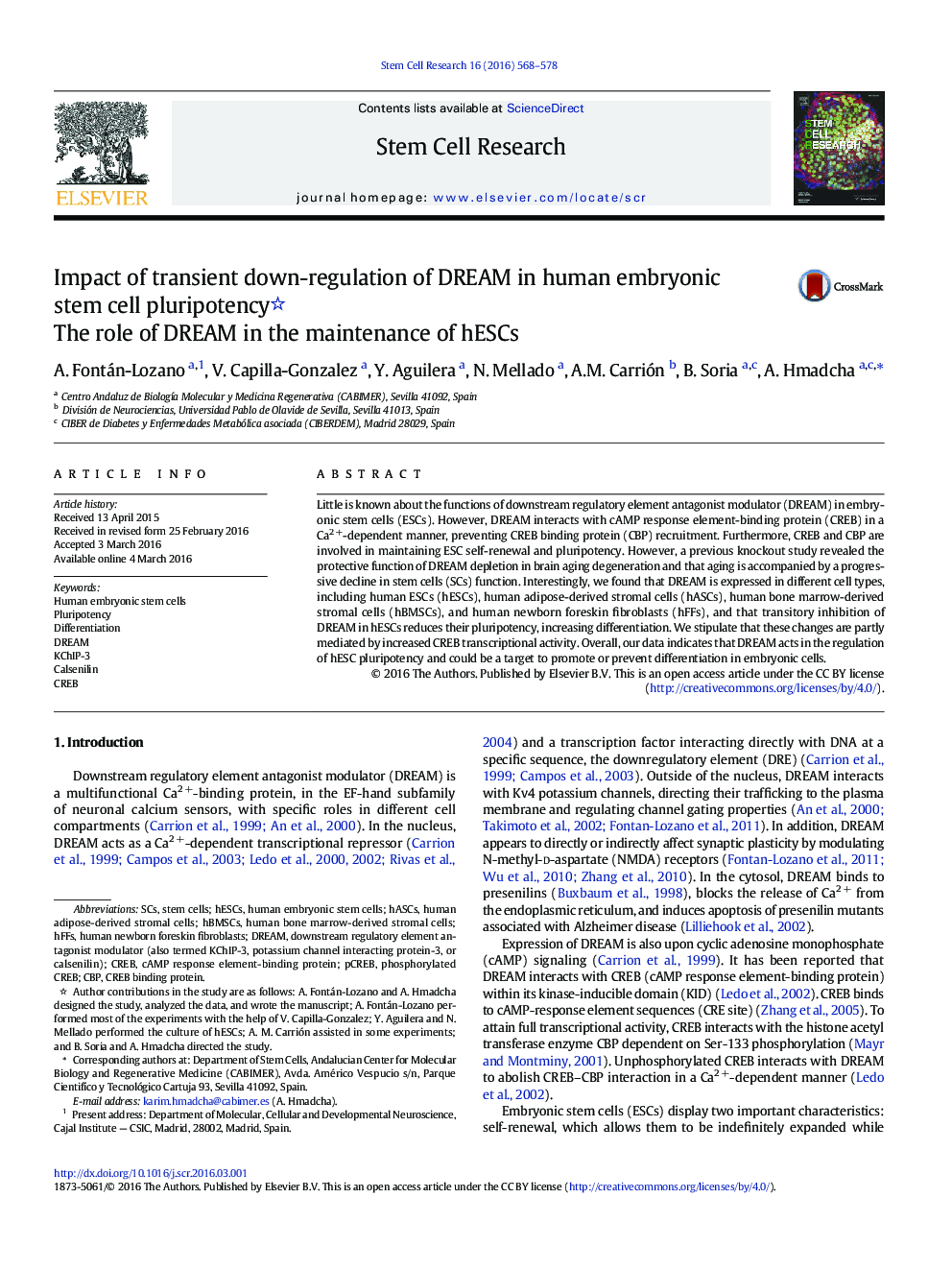 Impact of transient down-regulation of DREAM in human embryonic stem cell pluripotency : The role of DREAM in the maintenance of hESCs