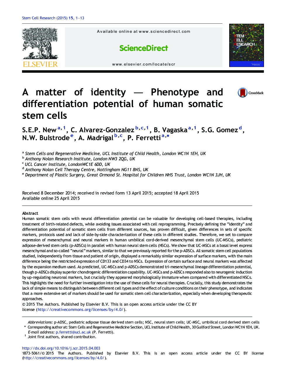 A matter of identity — Phenotype and differentiation potential of human somatic stem cells