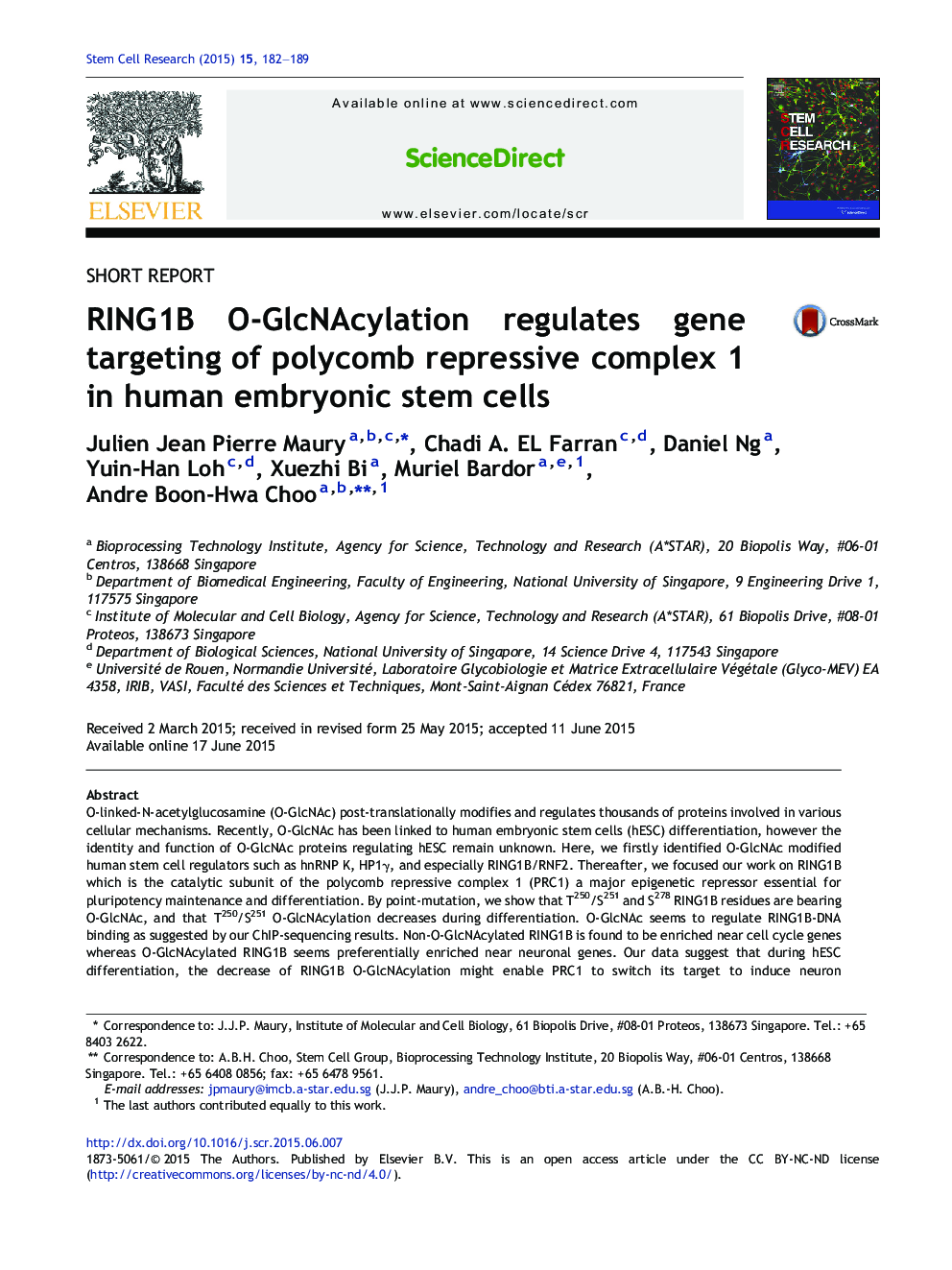 RING1B O-GlcNAcylation regulates gene targeting of polycomb repressive complex 1 in human embryonic stem cells