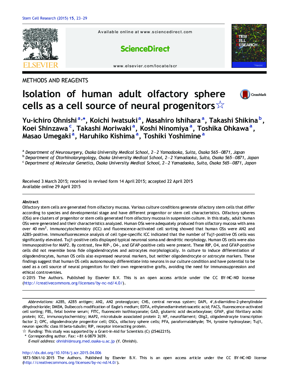 Isolation of human adult olfactory sphere cells as a cell source of neural progenitors 