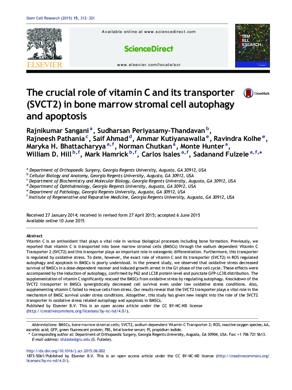 The crucial role of vitamin C and its transporter (SVCT2) in bone marrow stromal cell autophagy and apoptosis